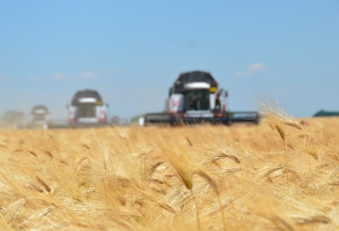 Урожай зерна в Саратовской области достиг 3 млн тонн