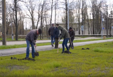 В БАЛАШОВСКОМ ПАРКЕ АВИАТОРОВ ПОСАДИЛИ ЛИПЫ