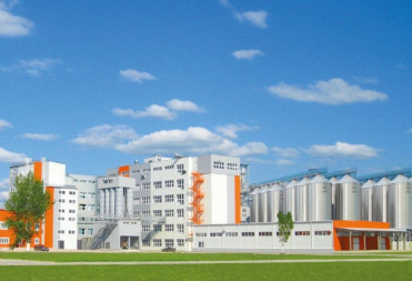 Балашовская макаронная фабрика инвестирует более 500 млн рублей в модернизацию производственного комплекса