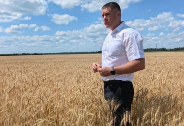 АЛЕКСЕЙ КОЛЬЦОВ ПРОКОММЕНТИРОВАЛ ХОД УБОРОЧНОЙ КАМПАНИИ НА ПОЛЯХ БАЛАШОВСКОГО РАЙОНА