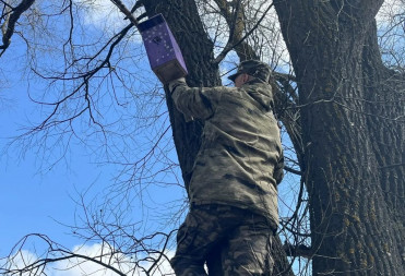 В заказнике «Центральный» разместили сделанные школьниками скворечники