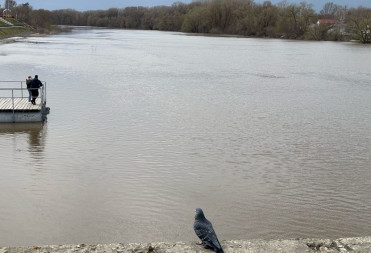 Ситуация с паводком в Балашовском районе на 12 апреля