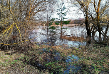 Ситуация с паводком в Балашовском районе на 8 апреля