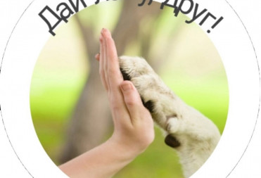 УСПЕЙ ПОДАТЬ ЗАЯВКУ НА УЧАСТИЕ В БЛАГОТВОРИТЕЛЬНОЙ АКЦИИ!