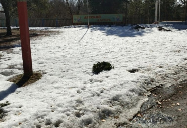 Весна в «Колосе» — время новых встреч!