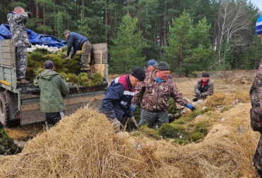 В «Саду Памяти» Саратовской области высажено более миллиона молодых деревьев