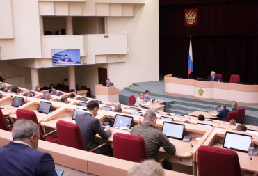 Принят закон о господдержке ремесленной деятельности в Саратовской области