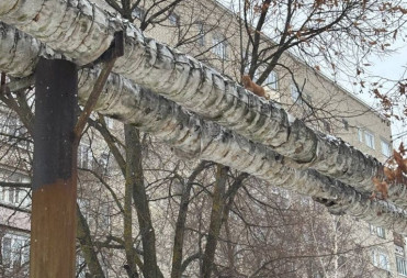 БАЛАШОВЦЫ! ПОМОГИТЕ КОТУ!