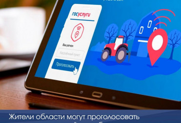 Жители области могут проголосовать за подключение сёл к интернету