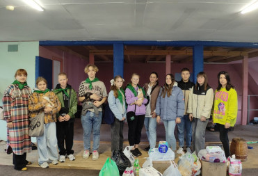 Балашовские студенты провели благотворительный сбор для бездомных животных