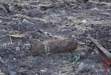 ЭХО ВОЙНЫ