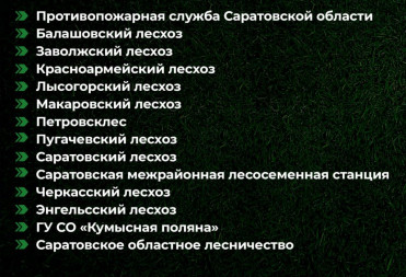 Еще более 3 тысяч работников различных учреждений Саратовской области получат единовременную премию в размере 20 тысяч рублей