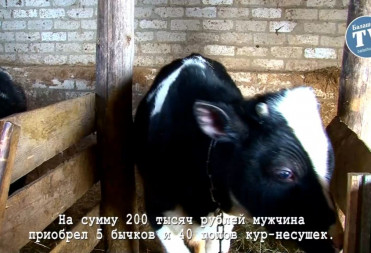 УЧАСТНИКИ СВО ОТКРЫВАЮТ ЛИЧНЫЕ ПОДСОБНЫЕ ХОЗЯЙСТВА