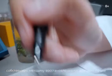 Япроф.ру. Ты в хорошей компании