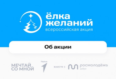 Движение Первых запускает Всероссийскую акцию «Ёлка желаний»