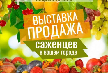 10 сентября Выставка-продажа саженцев в г. Балашове