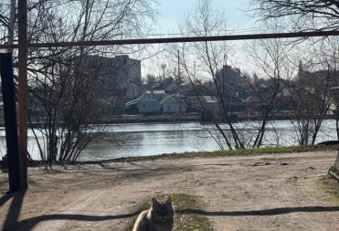 Ситуация с паводком в Балашовском районе на 10 апреля