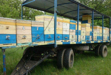 В хозяйствах Балашовского района продолжается посевная кампания