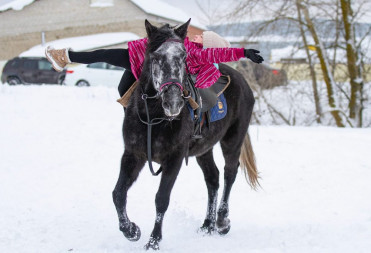 БАЛАШОВСКИЙ КОННОСПОРТИВНЫЙ КЛУБ «ДРУЖИНА» ВЫСТУПИЛ С ПОКАЗАТЕЛЬНЫМИ НОМЕРАМИ