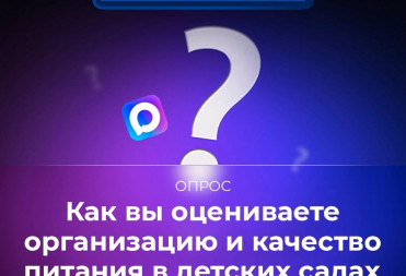В канале «Володин Саратов» в МАХ идет опрос на тему организации работы и качества питания в детских садах Саратовской области