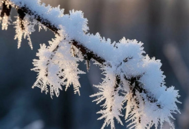 В БАЛАШОВЕ МОРОЗ СТАНОВИТСЯ СИЛЬНЕЕ