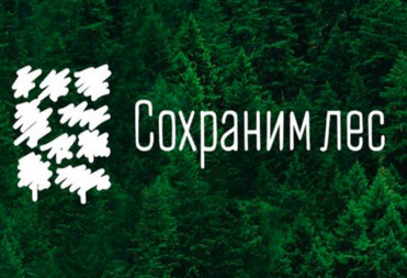 «Сохраним лес»: прими участие в озеленении региона