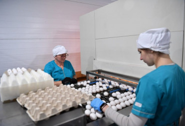 Саратовская область занимает 3 место в ПФО по заработной плате в сельском хозяйстве по итогам 2023 года