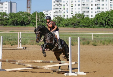 БАЛАШОВСКИЙ КОННО-СПОРТИВНЫЙ КЛУБ «ДРУЖИНА» СТАЛ ОДНИМ ИЗ ЛУЧШИХ В САРАТОВЕ