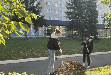 БАЛАШОВЦЫ ПРИСОЕДИНИЛИСЬ К РЕГИОНАЛЬНОМУ СУББОТНИКУ