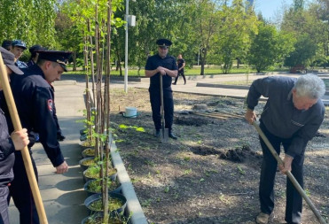 В ПАРКЕ ИМЕНИ КУЙБЫШЕВА ВЫСАДИЛИ САЖЕНЦЫ ЛИПЫ