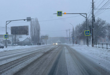 В БАЛАШОВЕ НА ЖЕНЩИНУ УПАЛА ВЕТКА ДЕРЕВА